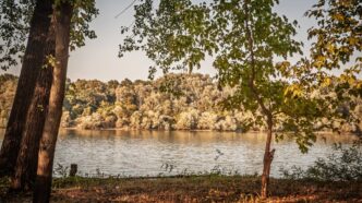 Spakujte kofere za vikend: Pet skrivenih oaza nadomak Beograda - Sava kod Obrenovca (foto: DepositPhotos.com)