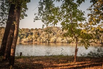 Spakujte kofere za vikend: Pet skrivenih oaza nadomak Beograda - Sava kod Obrenovca (foto: DepositPhotos.com)
