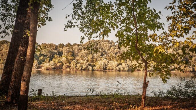 Spakujte kofere za vikend: Pet skrivenih oaza nadomak Beograda - Sava kod Obrenovca (foto: DepositPhotos.com)