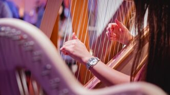 Svetski dan muzike: Harpomania (foto: Željko Kovačević)