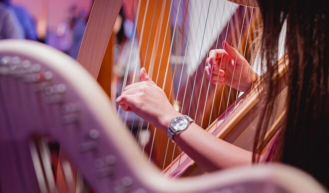 Svetski dan muzike: Harpomania (foto: Željko Kovačević)