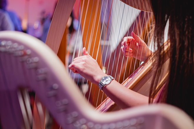 Svetski dan muzike: Harpomania (foto: Željko Kovačević)