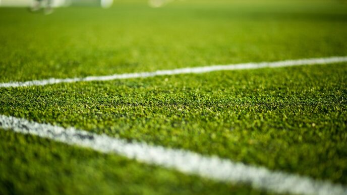 Fudbal: Super liga Srbije (foto: DepositPhotos.com)