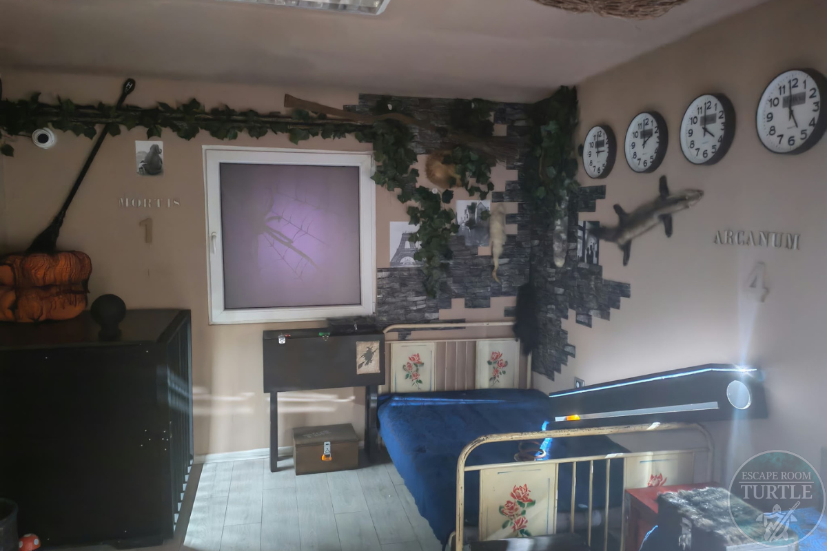 Turtle Escape Rooms