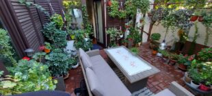 Za zeleniji Beograd: Najlepši balkon 2025. / D. L. Španca 73 (fotografiju obezbedilo JKP Zelenilo-Beograd)