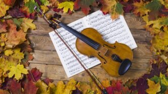 Besplatni koncerti klasične muzike u Beogradu (foto: DepositPhotos.com)