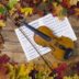 Besplatni koncerti klasične muzike u Beogradu (foto: DepositPhotos.com)
