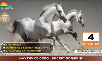 XIV Biserna griva Donjeg Srema
