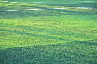 Fudbal: Super liga Srbije (foto: DepositPhotos.com)