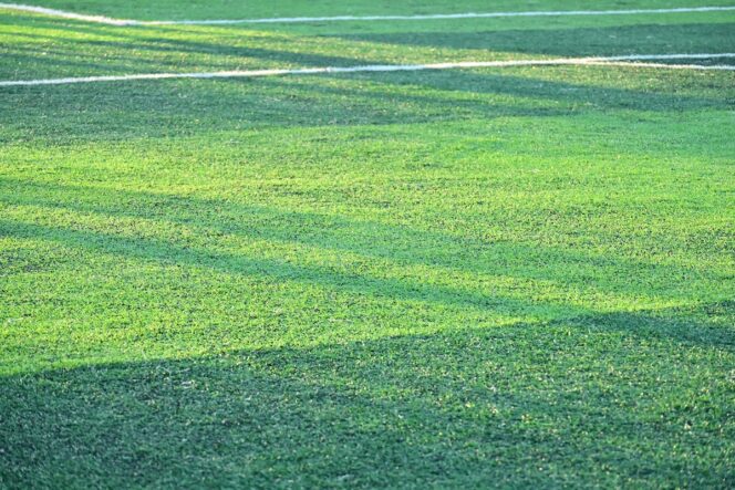 Fudbal: Super liga Srbije (foto: DepositPhotos.com)