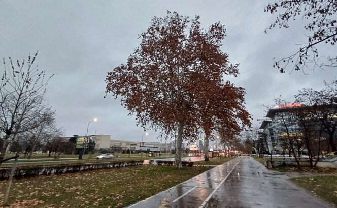 Vremenska prognoza (foto: Brankica Andonović)
